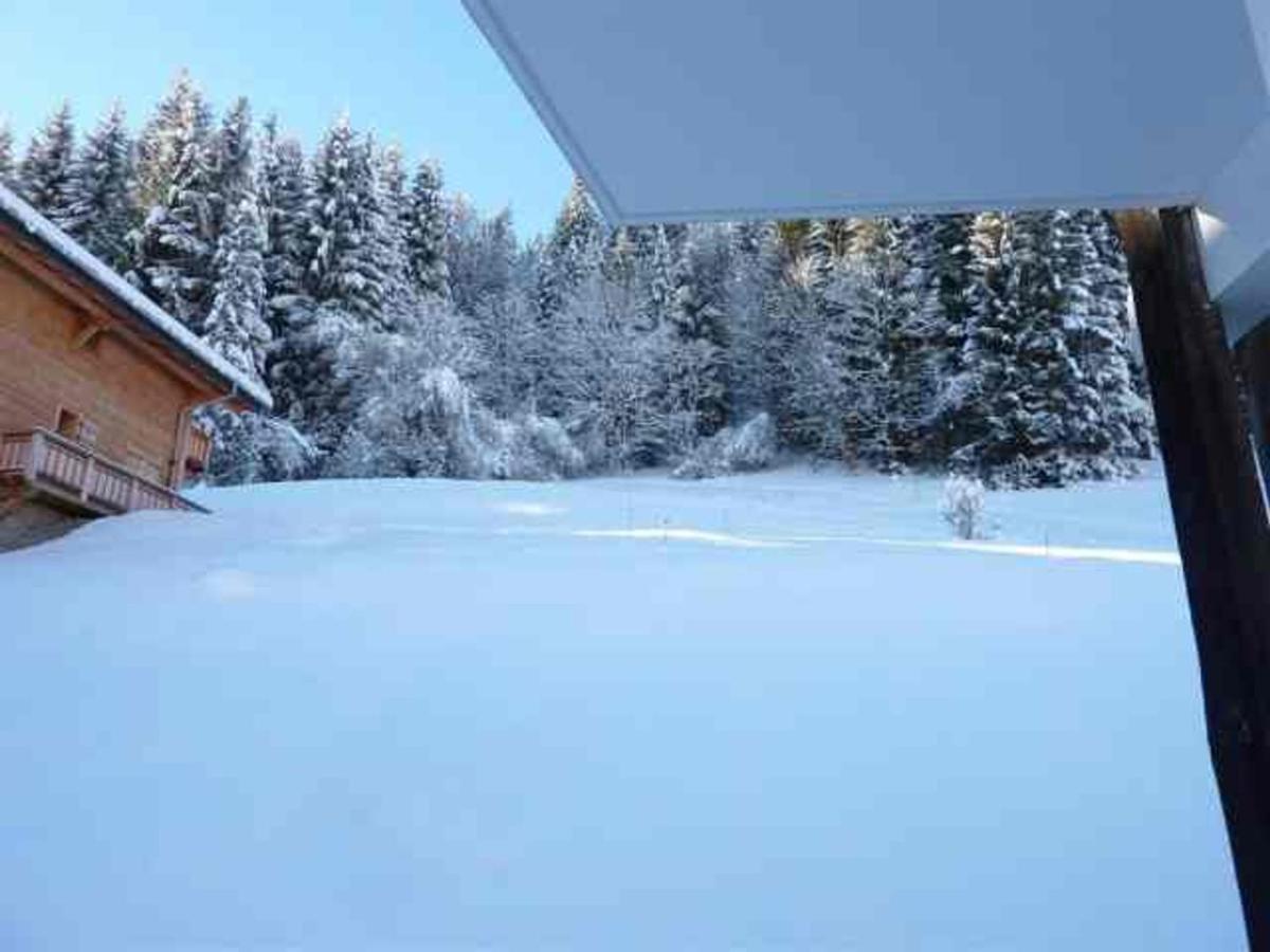 Appartement 3 Pieces Proche Centre Et Pistes, Animaux Admis, Parking Prive - Fr-1-524-34 Морзін Екстер'єр фото
